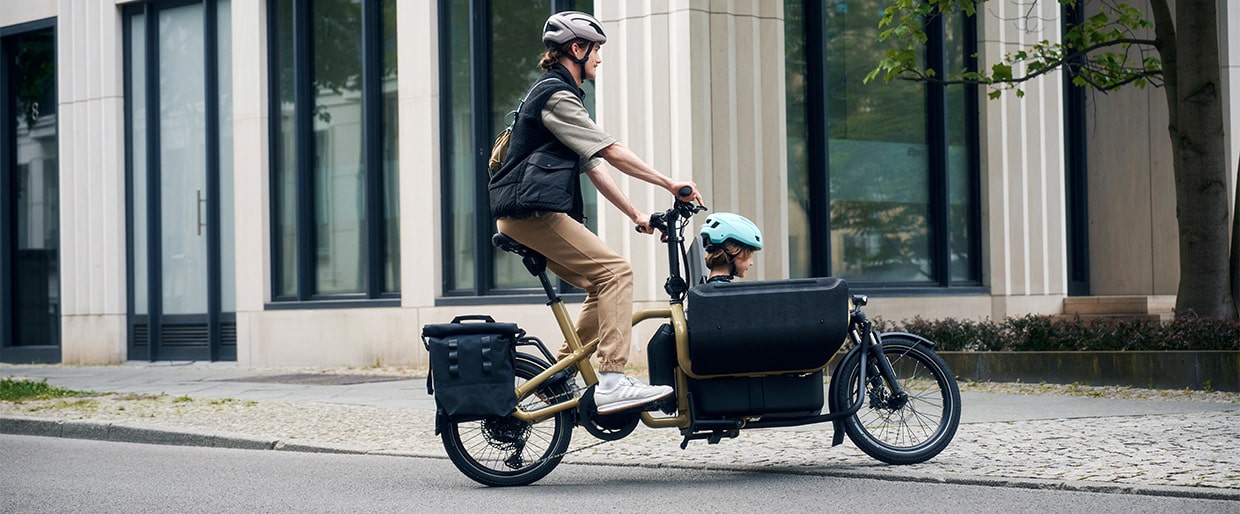 Riese-Müller-Carrie-Amber-1240x514