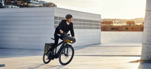 Riese-Muller-Multicharger-490x225