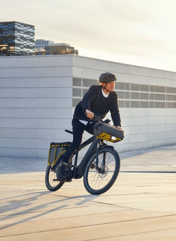 Riese-Muller-Multicharger-590x810