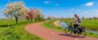 Fietsvakantie in Nederland tips